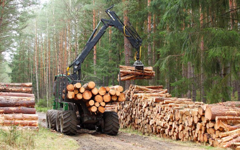 Crane carrying big big logs