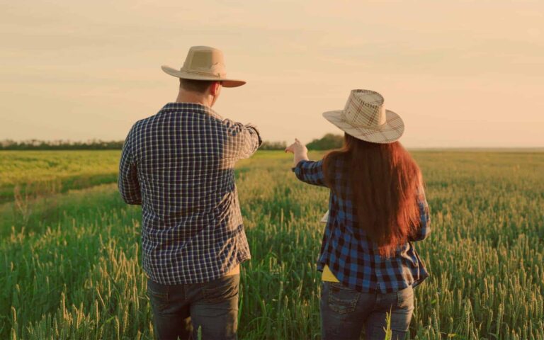 Two-farmers-with-digital-palnshets-man-woman-work-together-in-wheat-field_