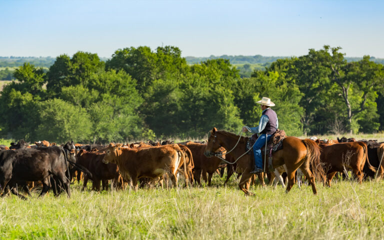 Where Regulatory Reform In Rural America Is Needed Most