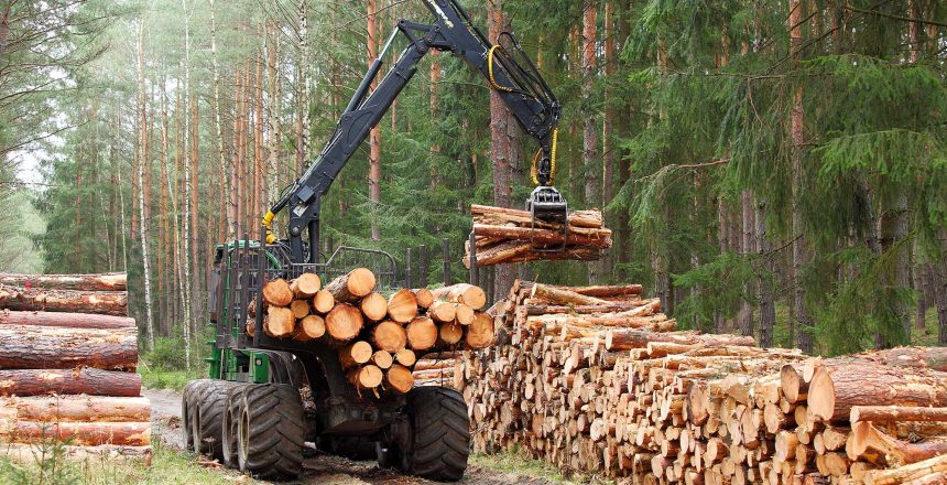 Crane carrying big big logs