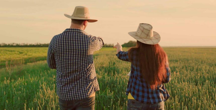 Two-farmers-with-digital-palnshets-man-woman-work-together-in-wheat-field_