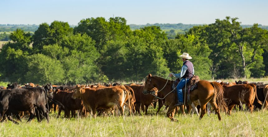 Where Regulatory Reform In Rural America Is Needed Most